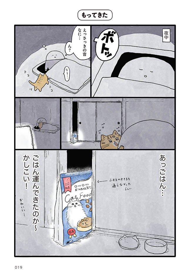 にんげん1人とねこ1匹