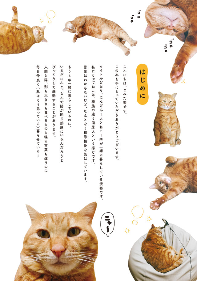 にんげん1人とねこ1匹