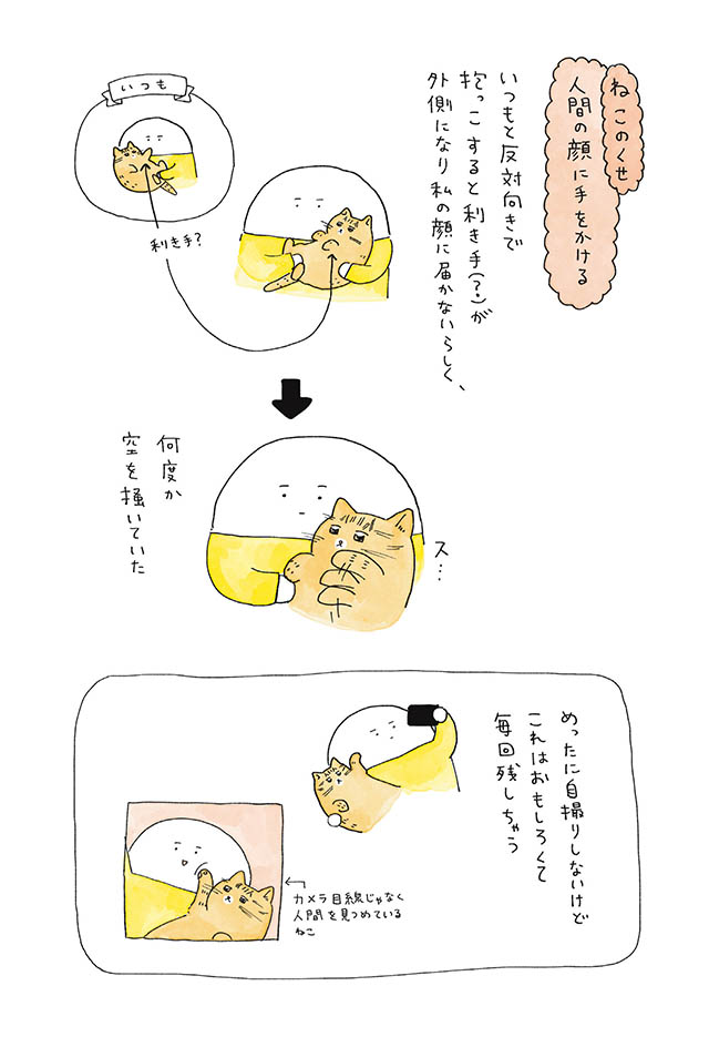 にんげん1人とねこ1匹