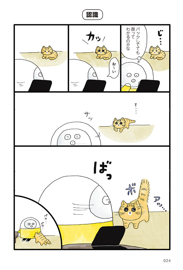 にんげん1人とねこ1匹