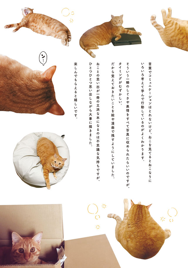 にんげん1人とねこ1匹