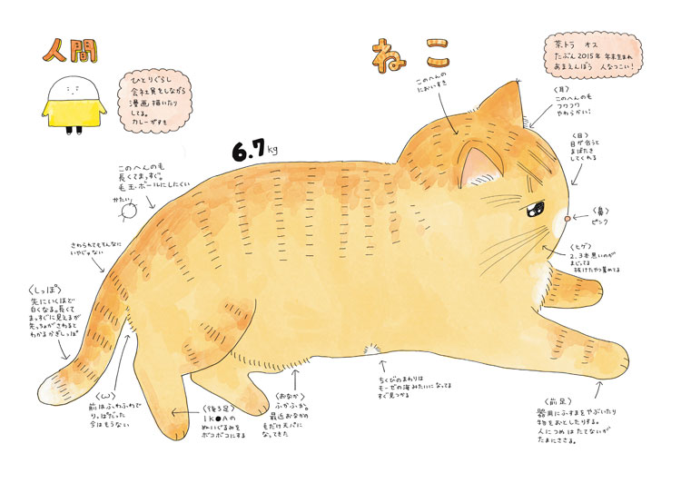 にんげん1人とねこ1匹