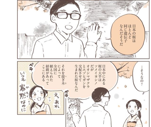 姫ばあちゃんとナイト