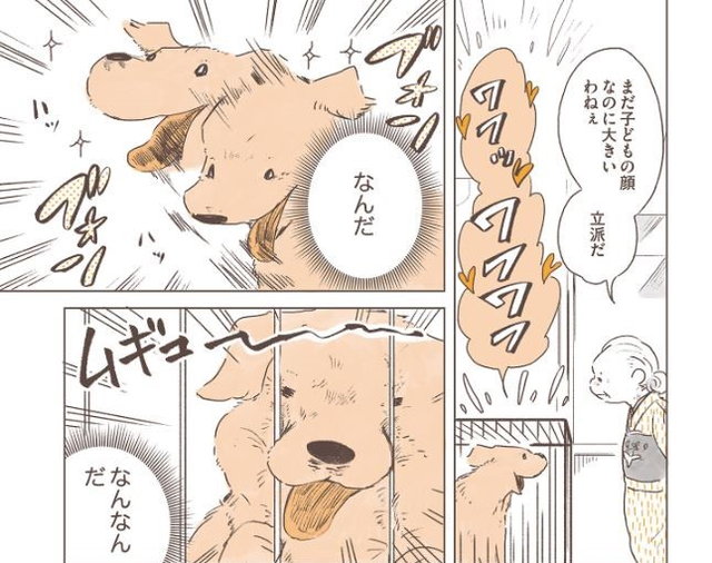姫ばあちゃんとナイト
