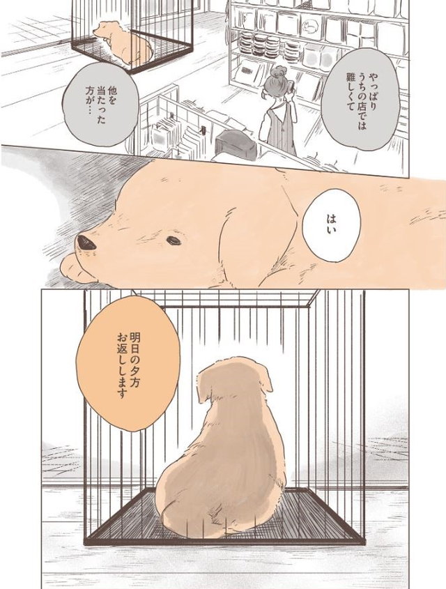姫ばあちゃんとナイト