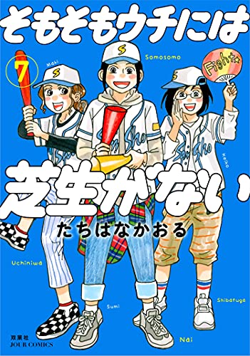そもそもウチには芝生がない