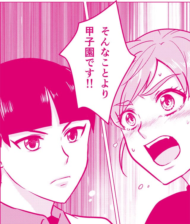 『花鈴のマウンド』