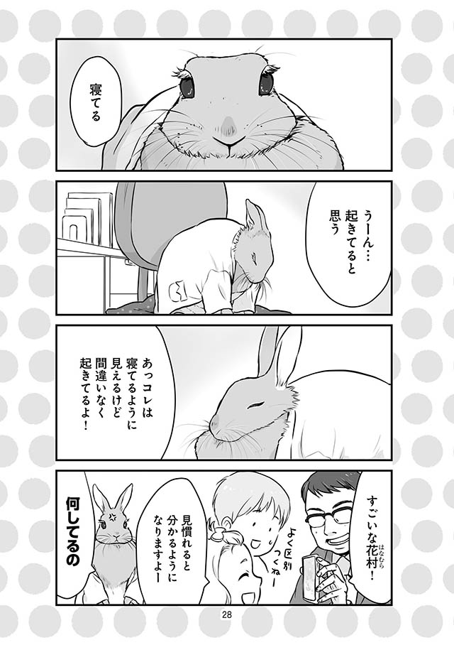 スクールカウンセラーうさみ先生の悩み相談室