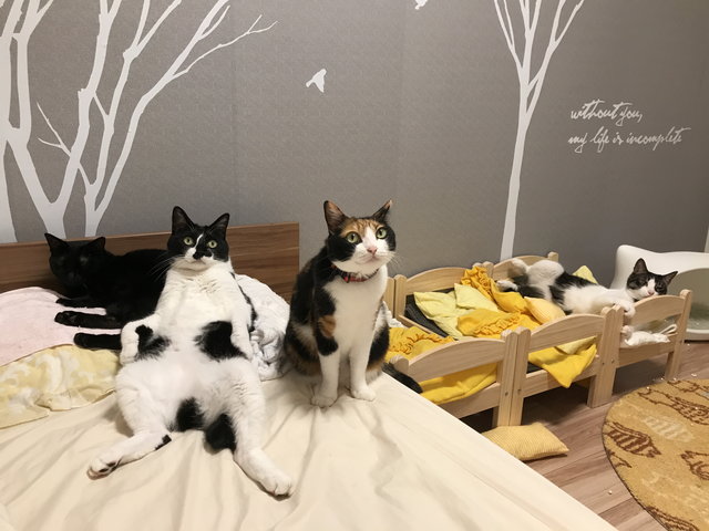 下僕の恩返し