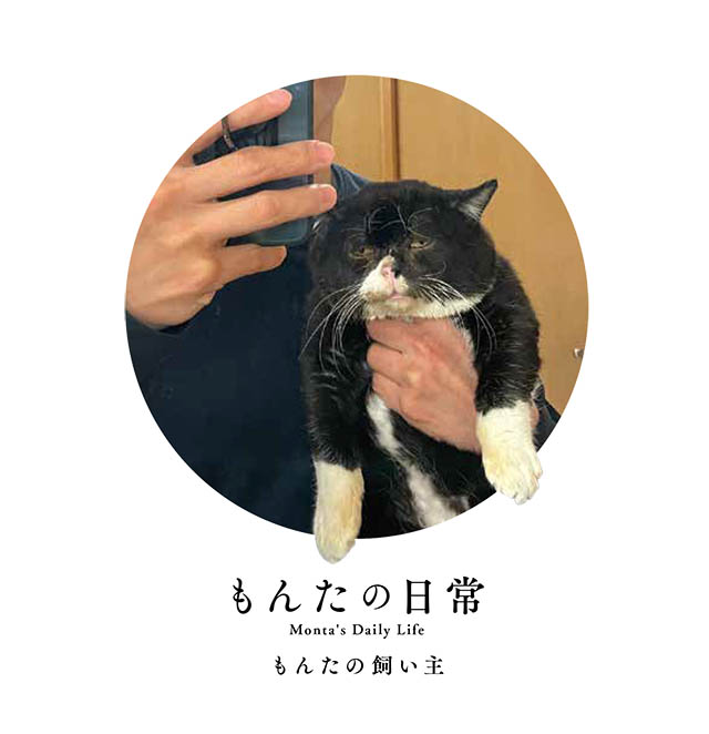 もんたの日常