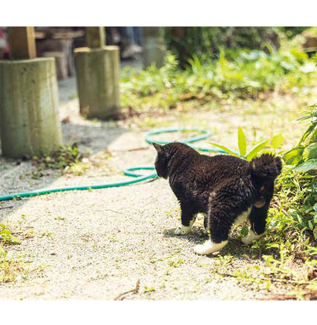 もんたの日常