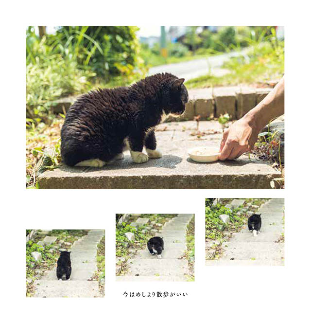 もんたの日常