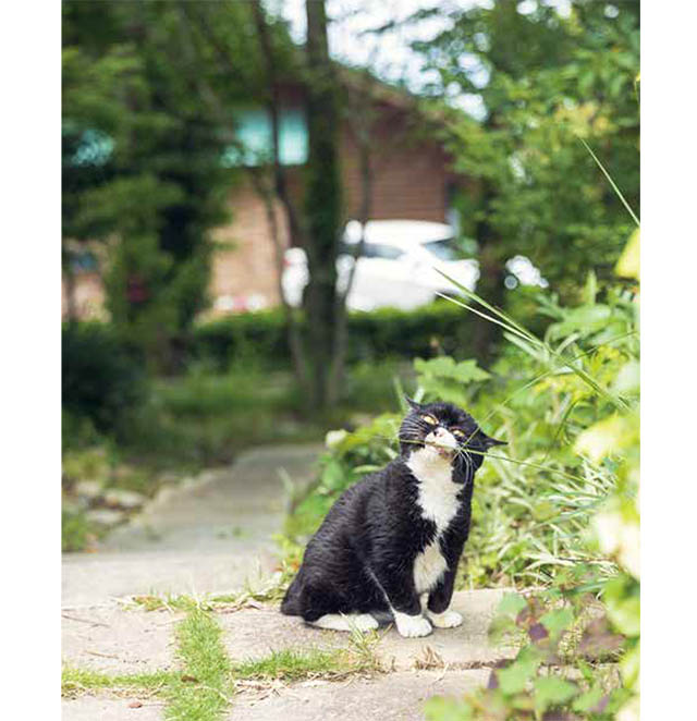 もんたの日常