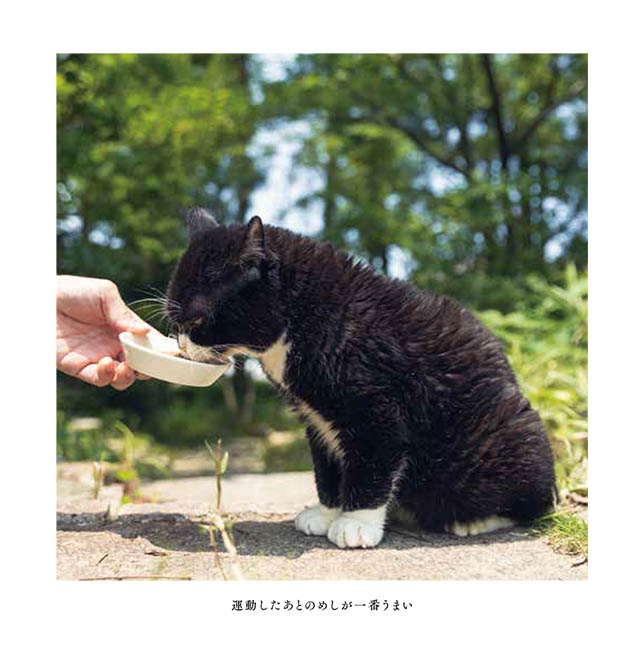 もんたの日常