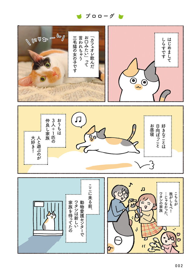 ねこ活はじめました かわいい!愛しい!だから知っておきたい保護猫のトリセツ P2