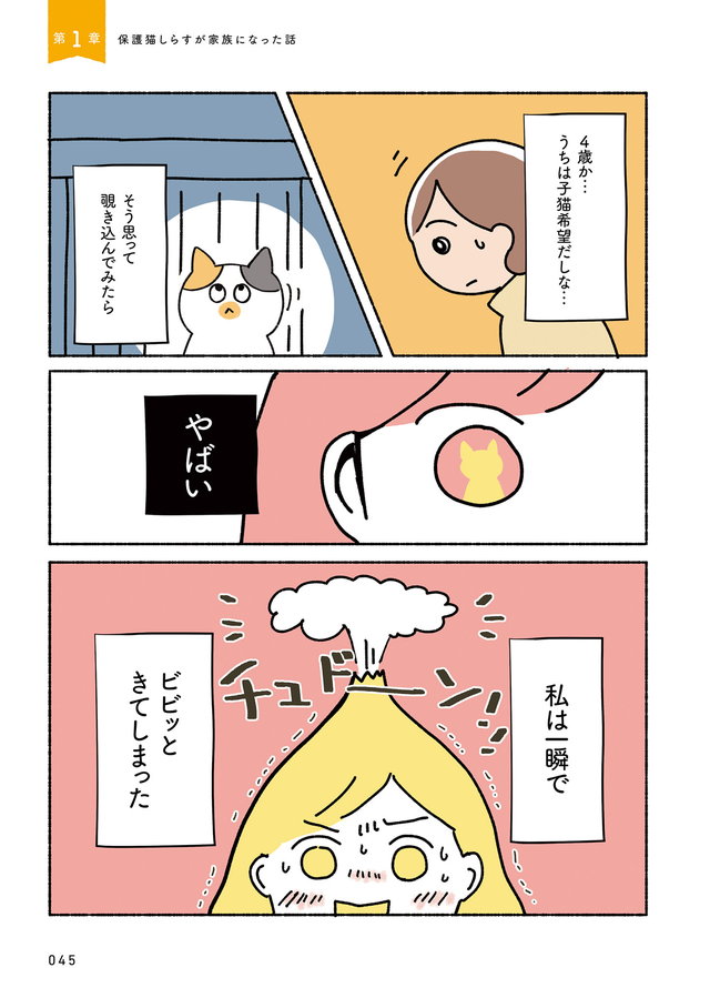 ねこ活はじめました かわいい!愛しい!だから知っておきたい保護猫のトリセツ P45
