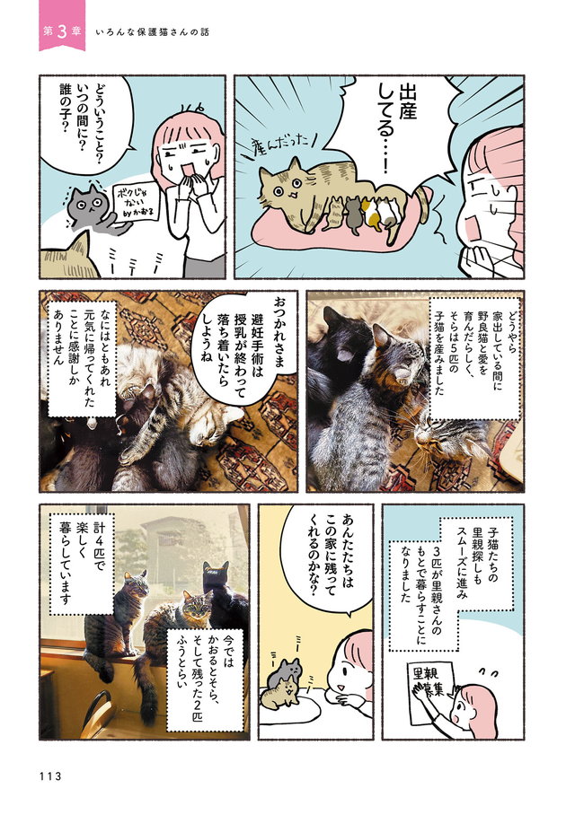 ねこ活はじめました かわいい!愛しい!だから知っておきたい保護猫のトリセツ P113