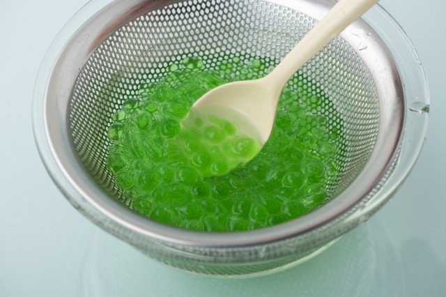 理系脳をつくる　食べられる実験図鑑