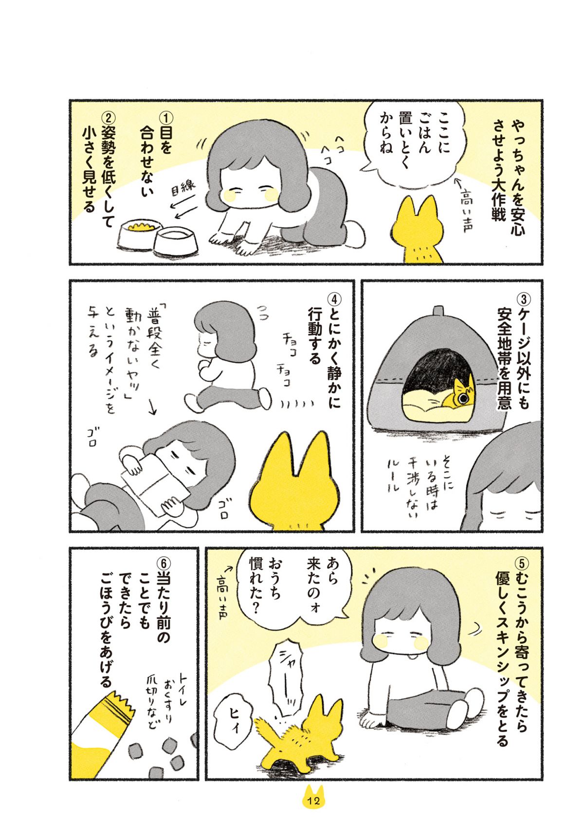 茶トラのやっちゃん
