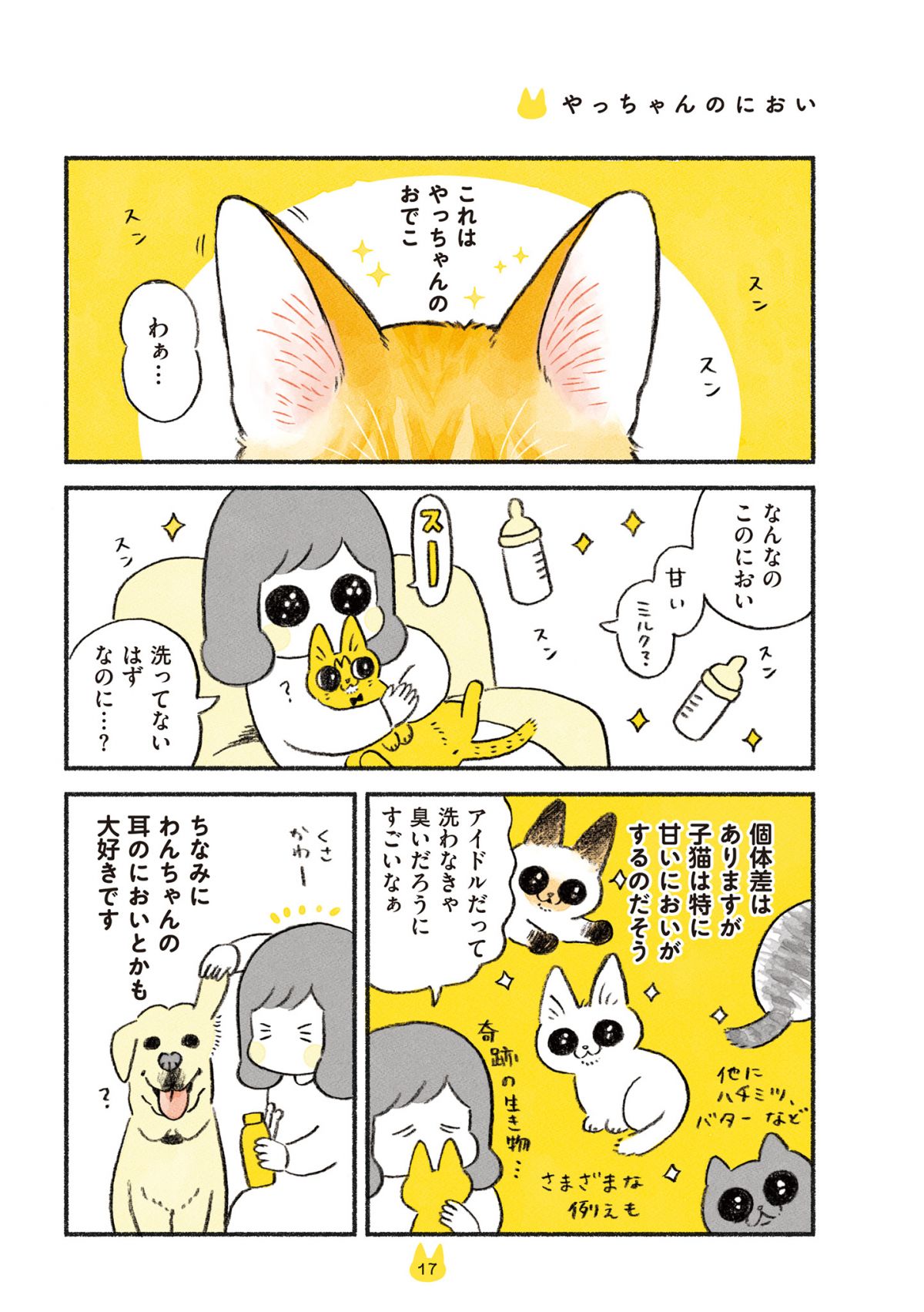 茶トラのやっちゃん