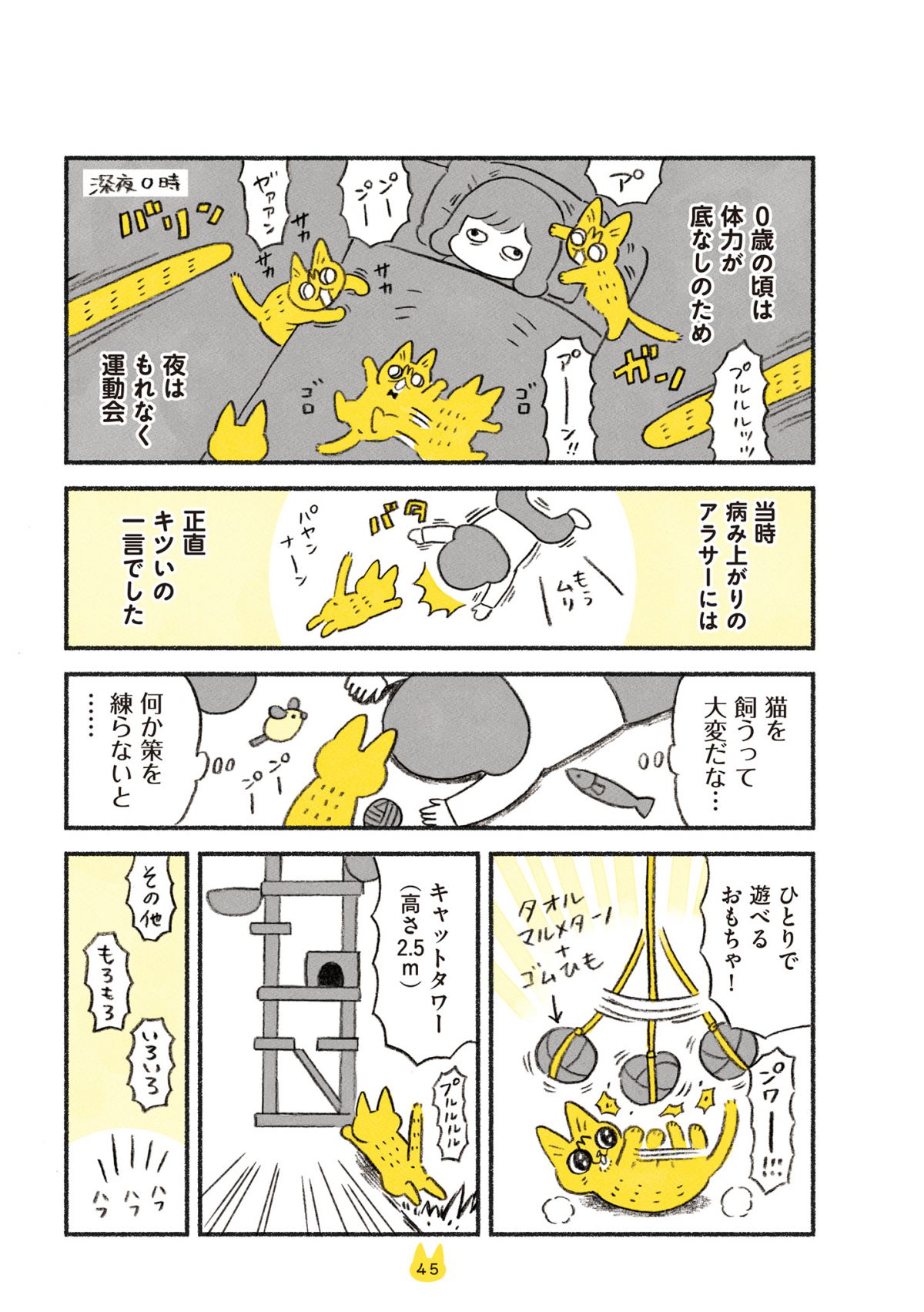 茶トラのやっちゃん