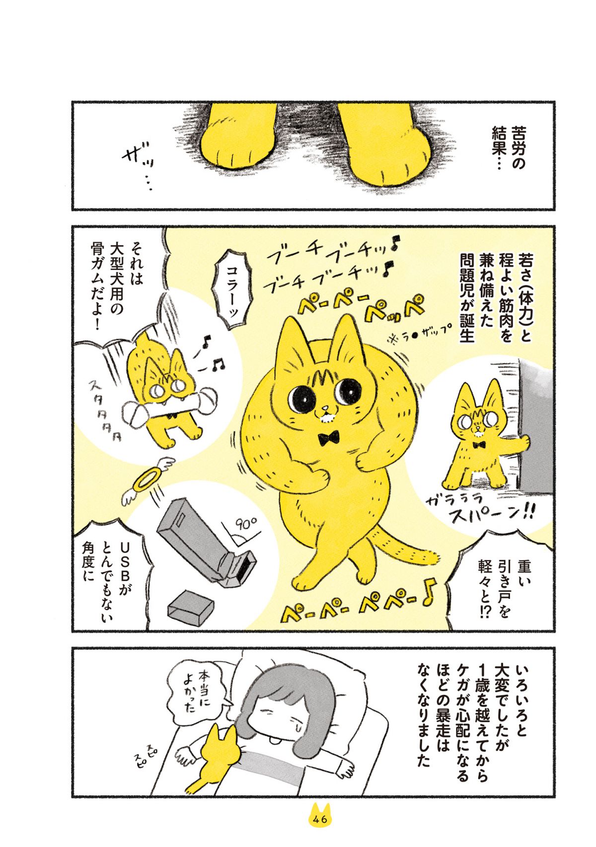 茶トラのやっちゃん