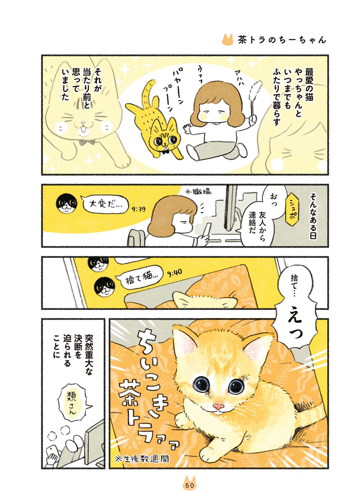 茶トラのやっちゃんとちーちゃん