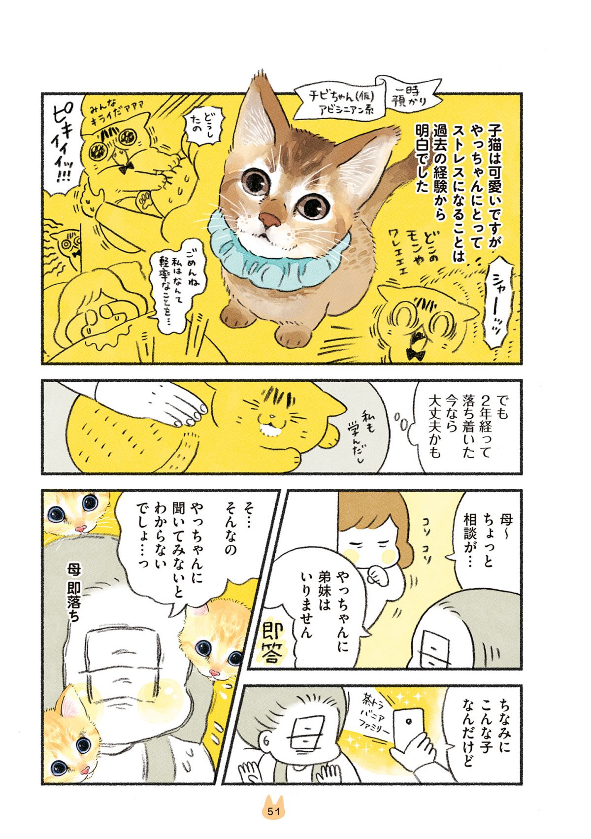 茶トラのやっちゃんとちーちゃん