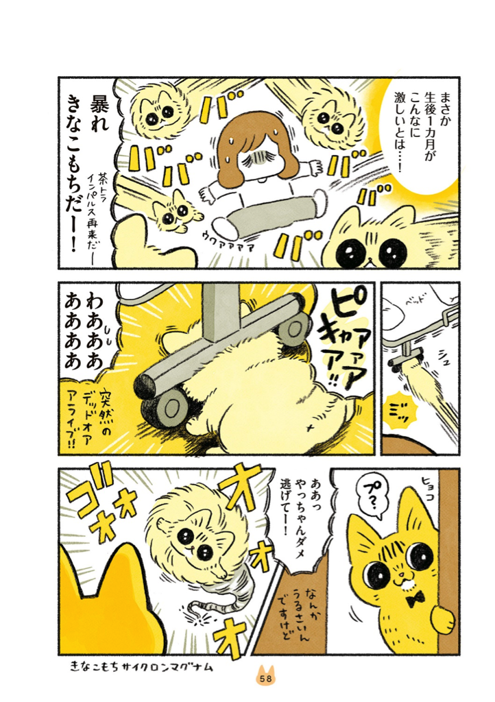 茶トラのやっちゃんとちーちゃん