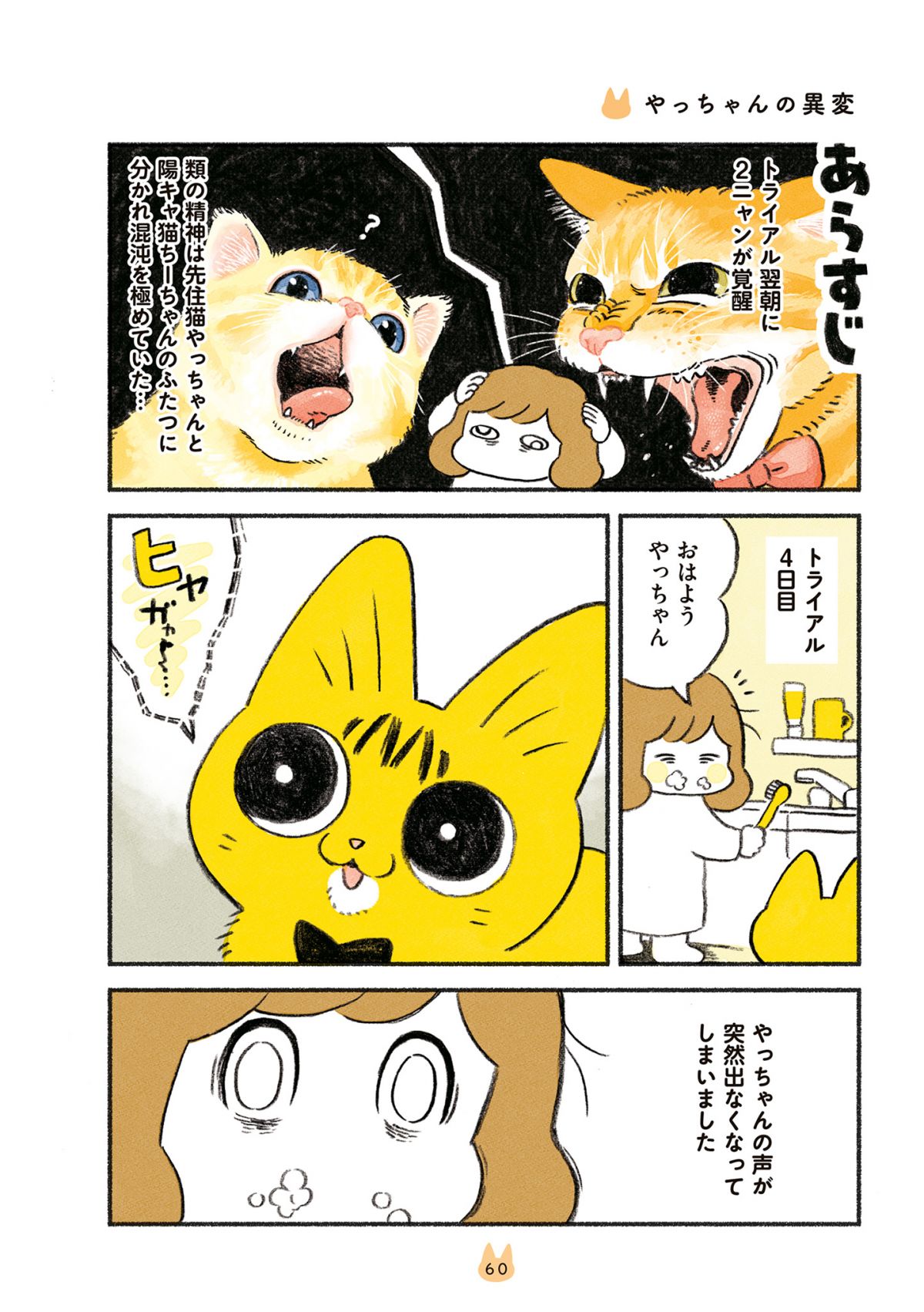 茶トラのやっちゃんとちーちゃん