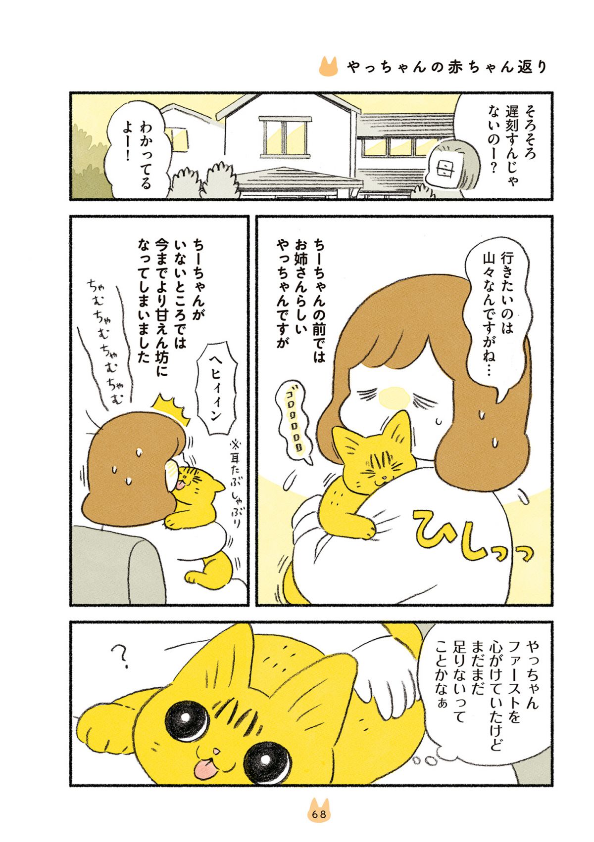 茶トラのやっちゃんとちーちゃん