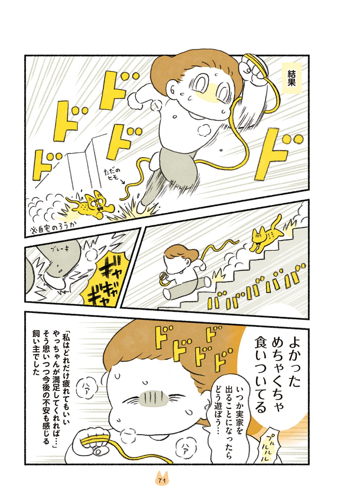 茶トラのやっちゃんとちーちゃん