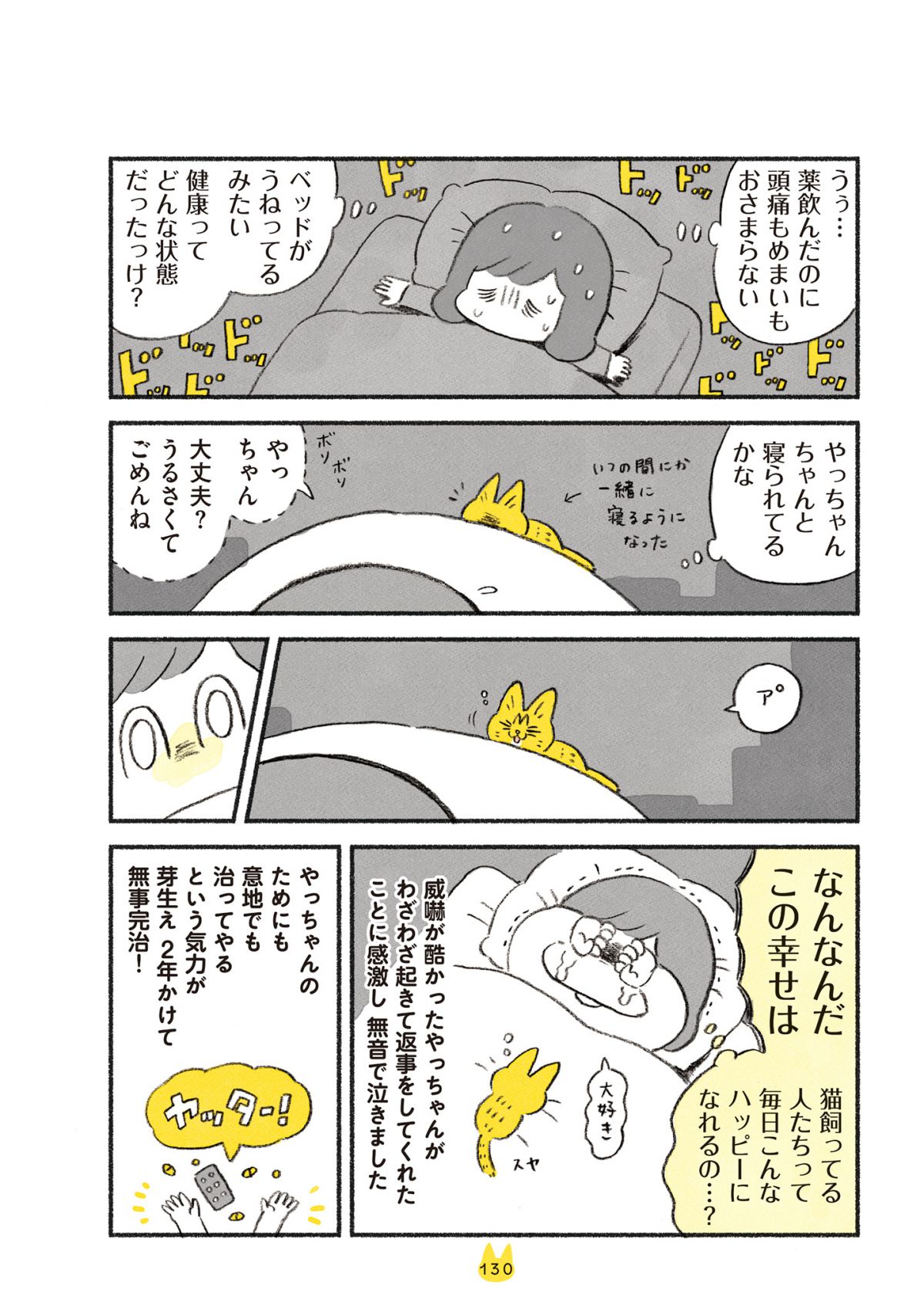 茶トラのやっちゃん