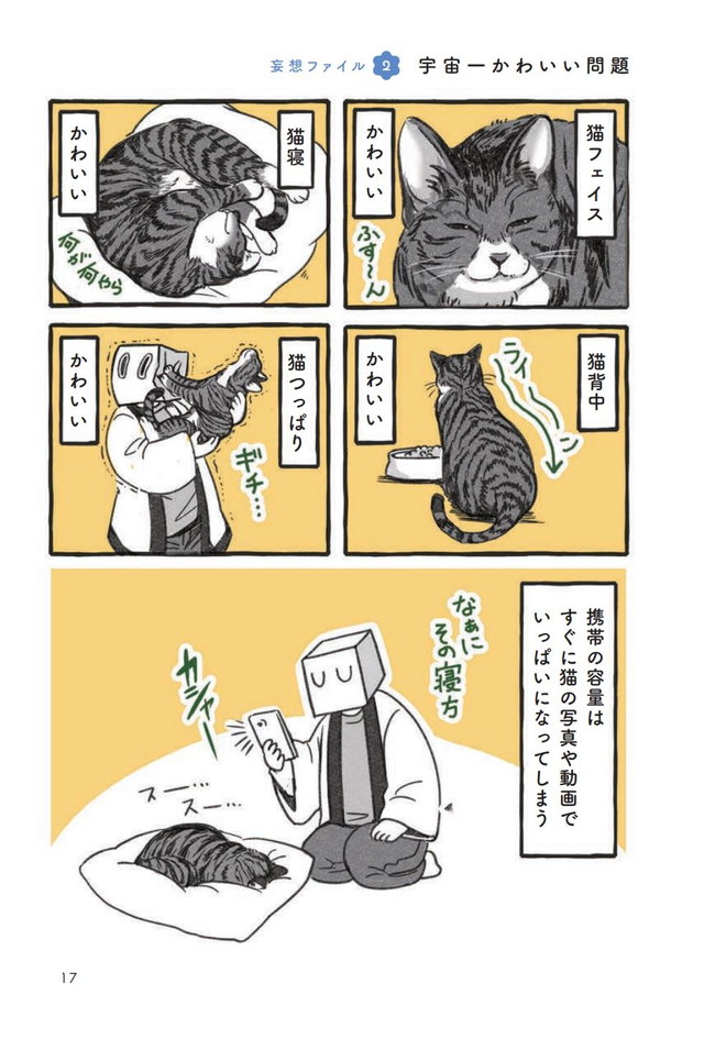 妄想猫観察 P17