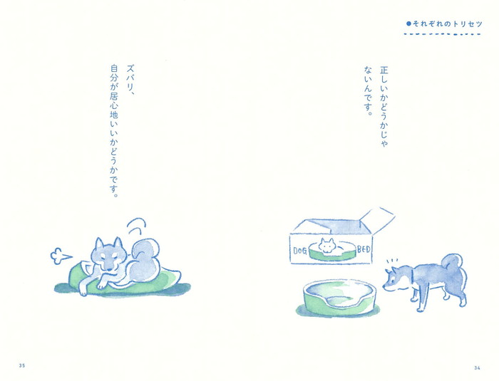 読むだけで心がほどける柴犬処方箋