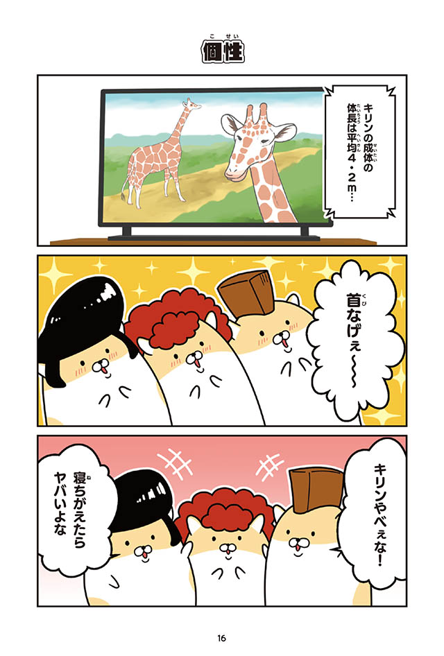 ヤンキーハムスター