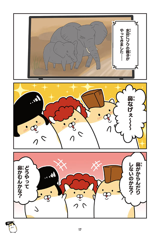 ヤンキーハムスター