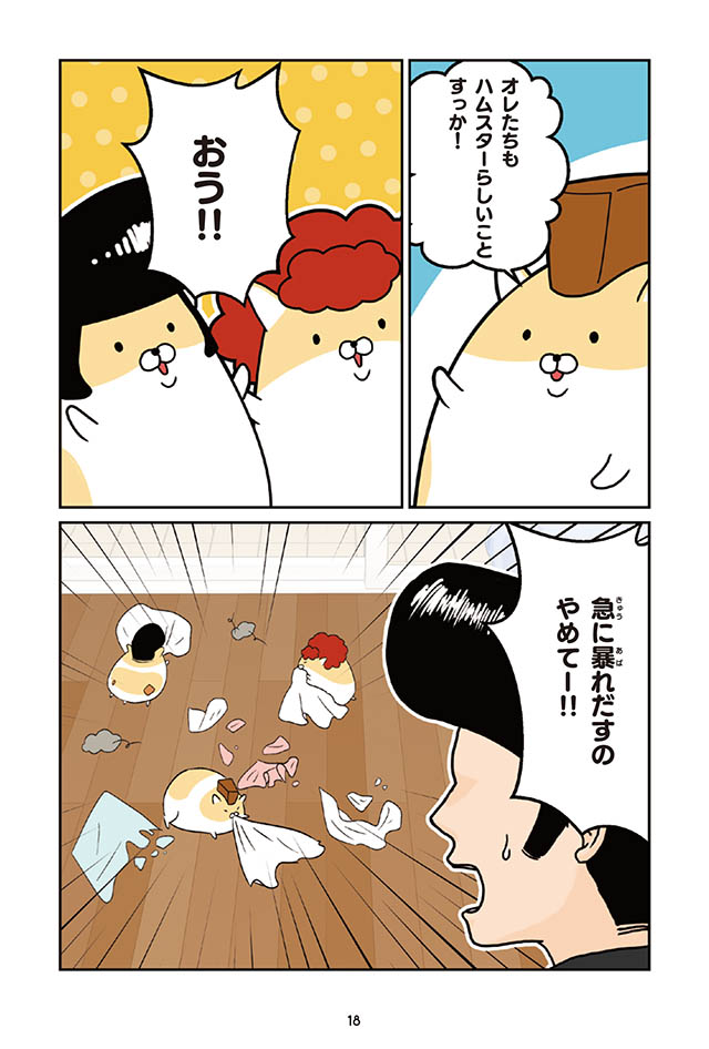 ヤンキーハムスター