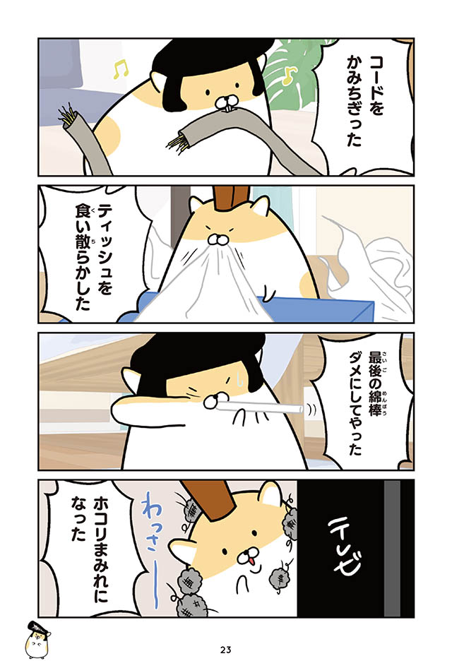 ヤンキーハムスター