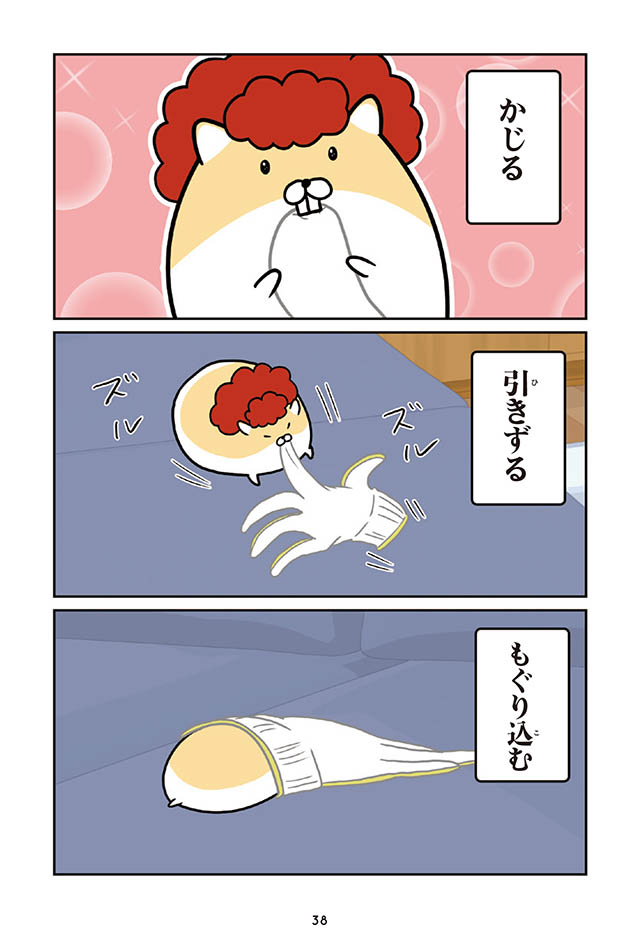 ヤンキーハムスター