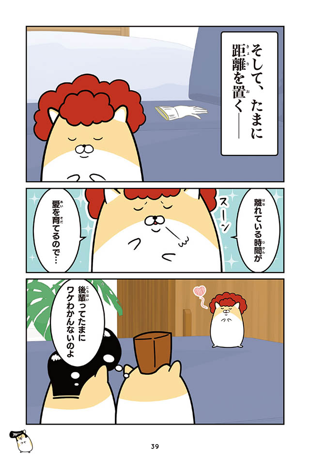 ヤンキーハムスター