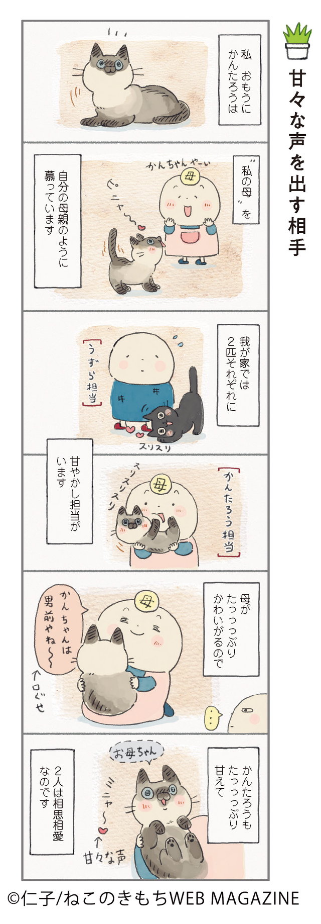 ねこ連れ草