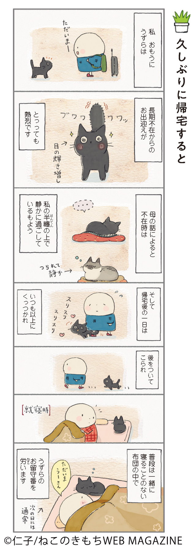 ねこ連れ草
