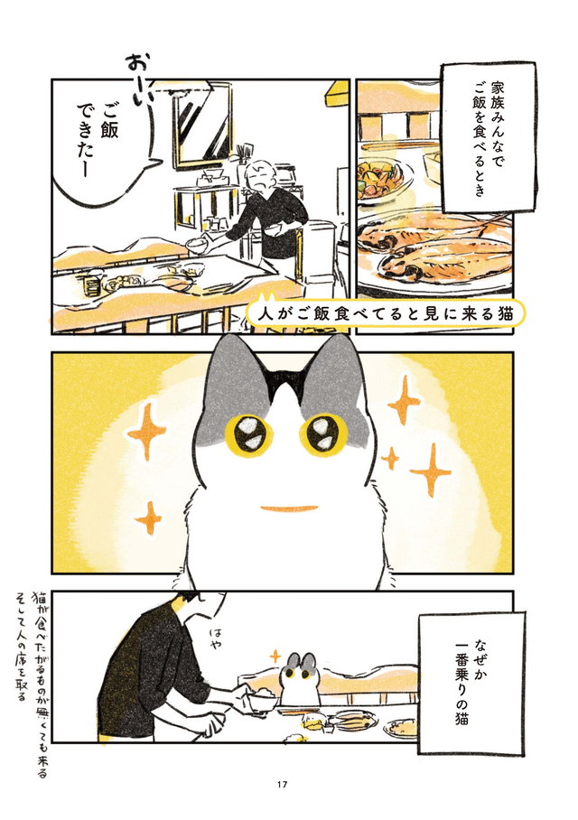 じじ猫くらし