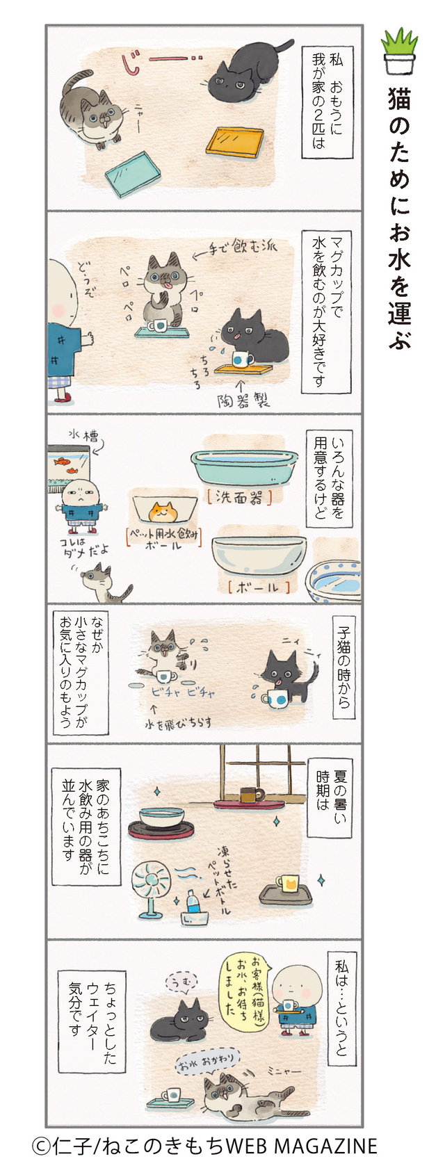 ねこ連れ草
