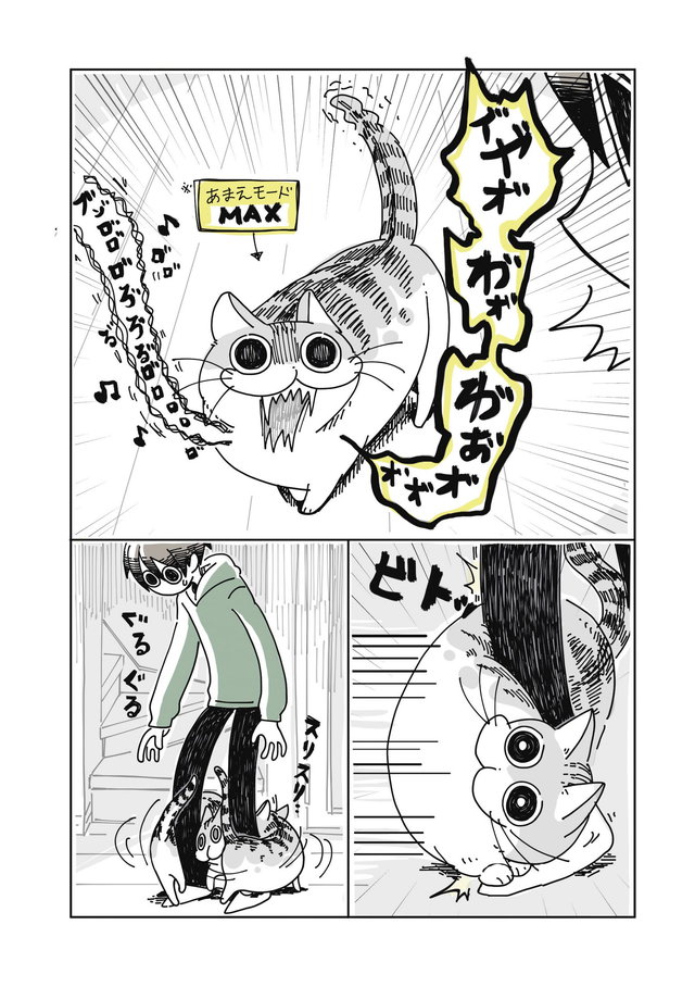 夜は猫といっしょ