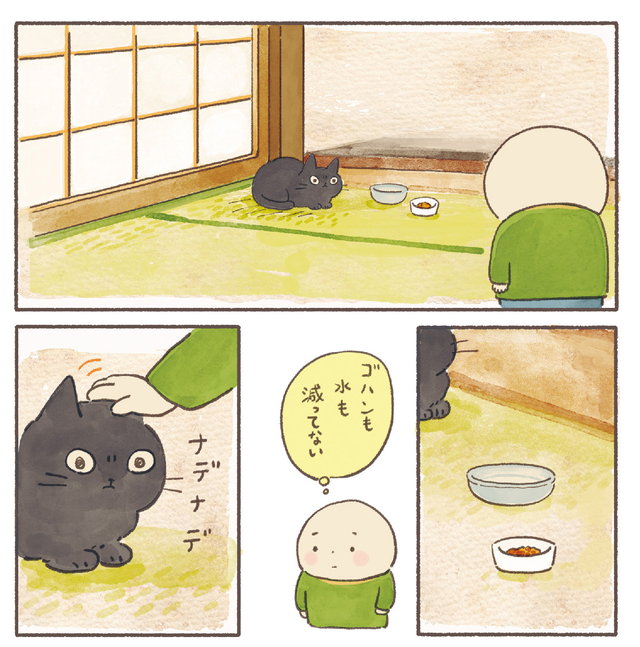 ねこ連れ草