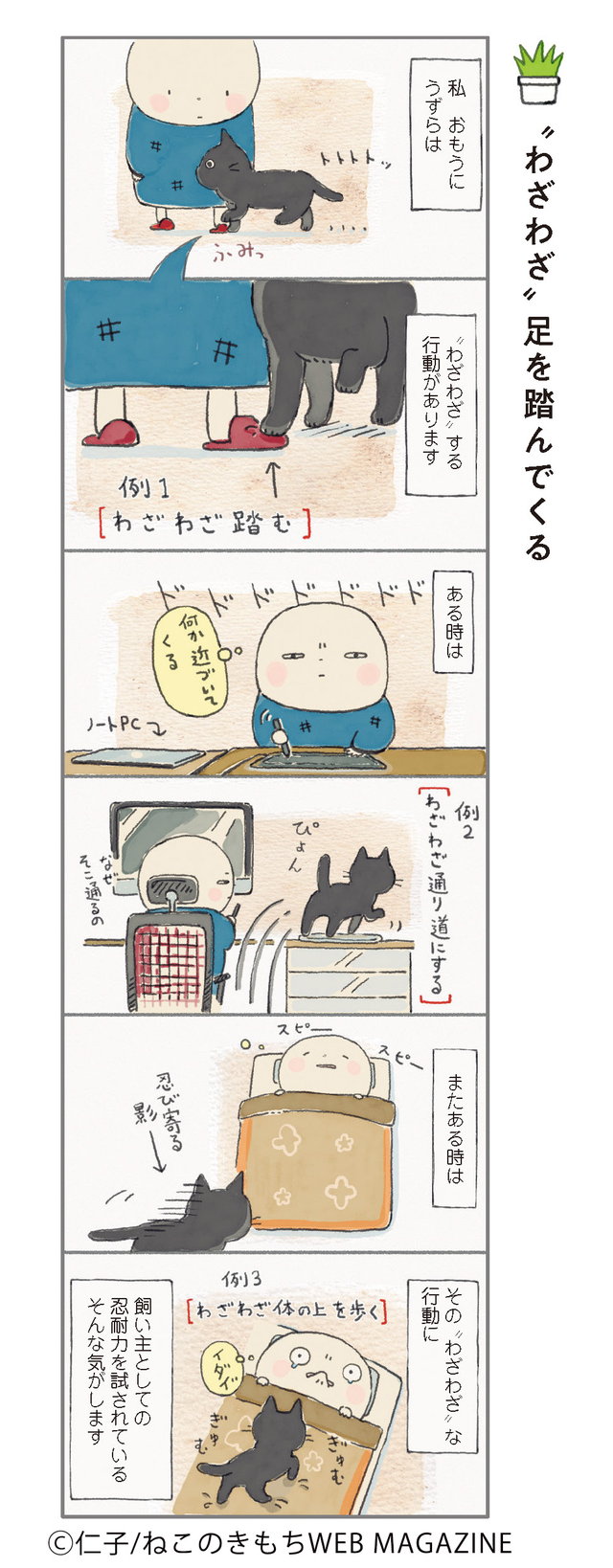 ねこ連れ草