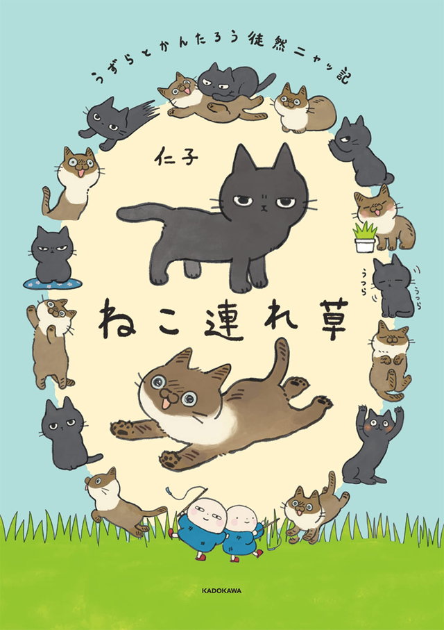ねこ連れ草