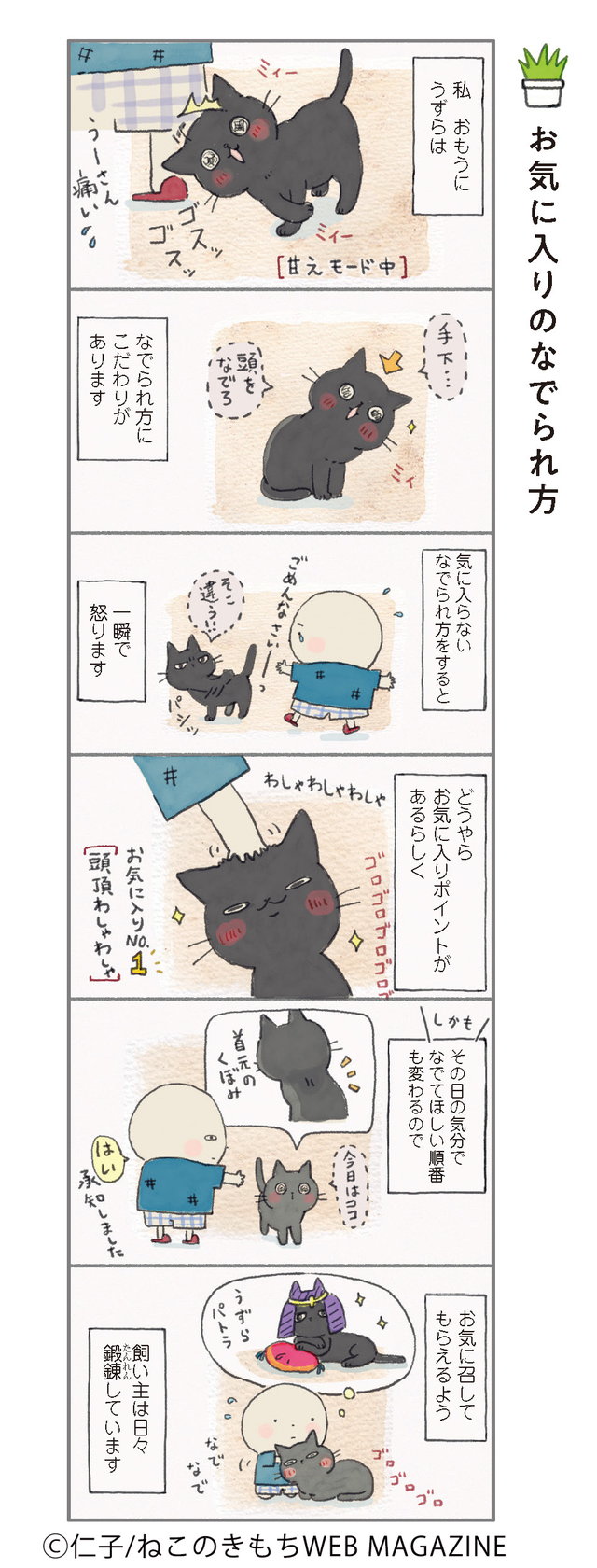 ねこ連れ草